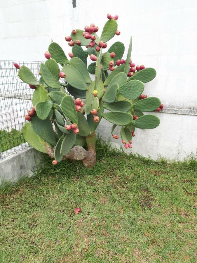 Villetta Lucia Torre dell'Orso Ngoại thất bức ảnh